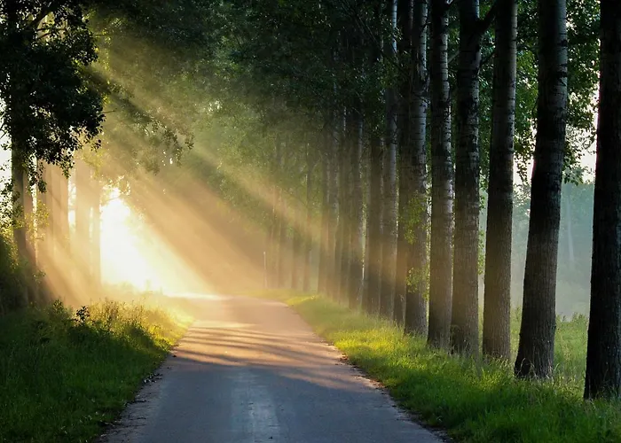 Bed & Breakfast De Schuur Numansdorp