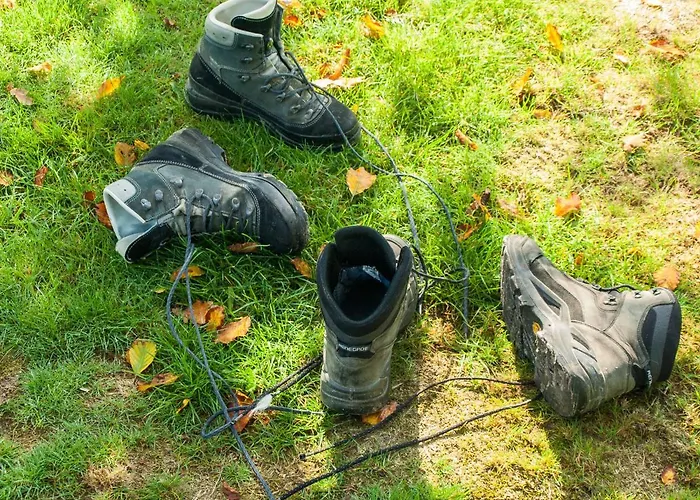 Bed & Breakfast De Schuur Numansdorp